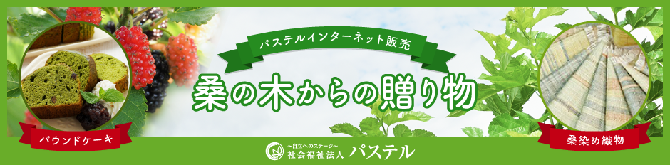 社会福祉法人パステル 栃木県を中心に 障害者福祉サービスを総合的に支援